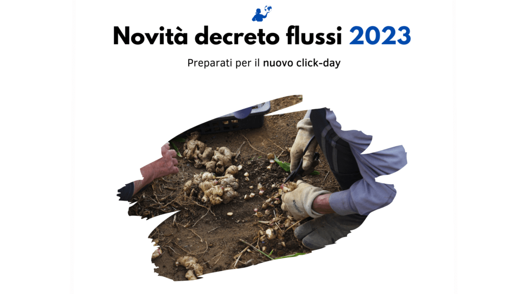 Ultime Notizie Sul Decreto Flussi 2023 | SH IMMIGRATION SPECIALISTS ...